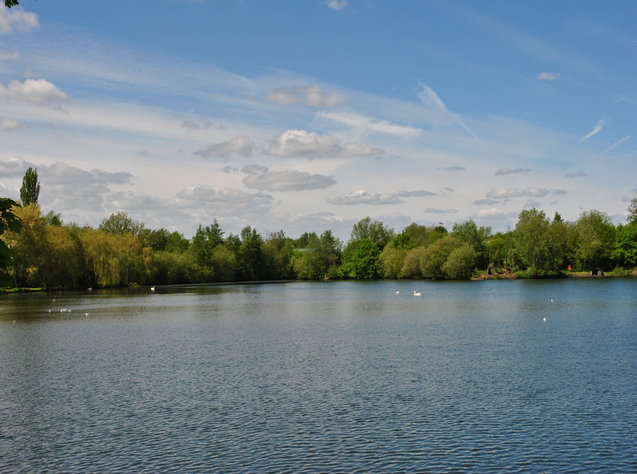 Willow Park Fishery