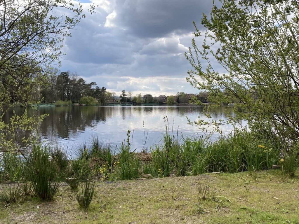 Petersfield Heath Pond